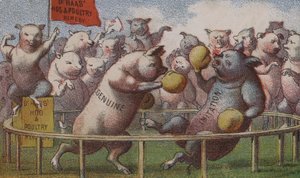 Amerikaanse handelskaart reclame voor Dr Haas varkens- en pluimvee remedie door American School